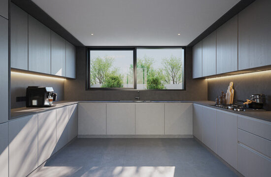 5B-Type-01-Kitchen-01